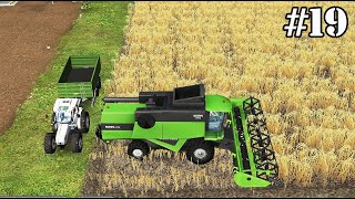 FS 14 Timelapse  19 A full harvest with the new combine [upl. by Harlin169]