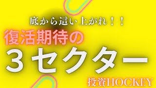 【投資HOCKEY】循環物色でセクター変わったか！？の注目の３セクター [upl. by Lenahs]