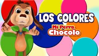 MI PERRO CHOCOLO APRENDE  LOS COLORES EN ESPAÑOL E INGLÉS [upl. by Pena974]