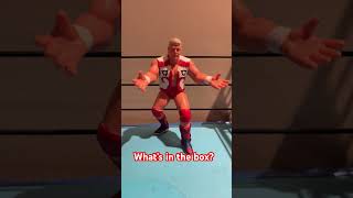 What’s in the box shorts wcw galoob dustinrhodes wrestlingfigures canadianbulldog [upl. by Tamas942]