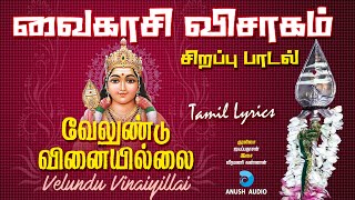 வேலுண்டு வினையில்லை  Velundu Vinaiyillai  Vaikasi Visakam Murugan Song in Tamil  Anush Audio [upl. by Ydnagrub102]