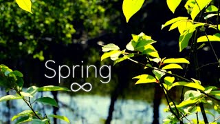 Spring  3Hour mix Soothing and relaxing instrumental by Petter Thomassen [upl. by Einahpad872]