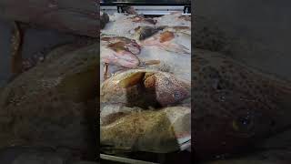 grouper fish00971554903734 fish fishing fishingvideo lobster food dubai market fishmarket ❤️ [upl. by Hannibal]