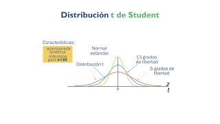 Hablemos de la Distribución t de Student [upl. by Ehav307]