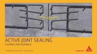 Sika® Waterbar  waterstops for joint sealing English version [upl. by Adner]