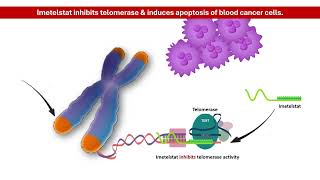 Imetelstat Understanding how this drug fights Myelodysplastic Syndrome MDS │ Pharmacology [upl. by Esinej]