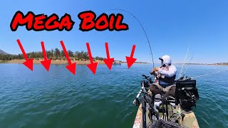 Mega Striped Bass Boil July 4th New Hogan Lake [upl. by Emilia752]