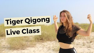 Tiger Qigong Live Class [upl. by Salocin]