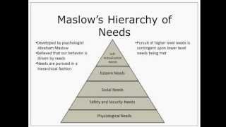 Maslows Hierarchy of Needs [upl. by Eenat]