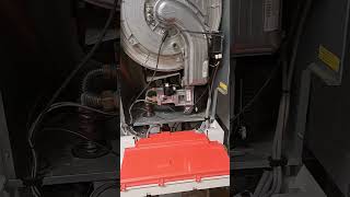 viessmann boiler cleaning 1 [upl. by Nylodam]