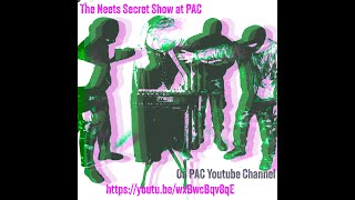 The Neets Live at PAC [upl. by Haskel509]