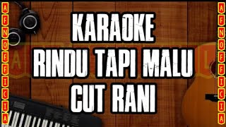 KARAOKE RINDU TAPI MALU  CUT RANI  MUSIK NO VOCAL [upl. by Bremser903]