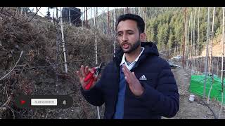 Training and pruning of M9 HDP [upl. by Aizti]