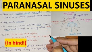 Paranasal Sinuses  1  Head amp Neck [upl. by Anilram]