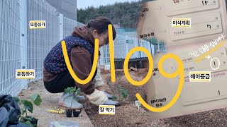 vlog  동결 배아 등급 동결 이식 계획 난임일기 모종심기 주택살이 잘 먹기 운동하기 시험관브이로그 브이로그 강아지 고양이와 함께 [upl. by Mariette361]