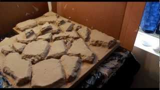 Building a Rock Wall for a Reptile Home Tutorial [upl. by Jessen703]