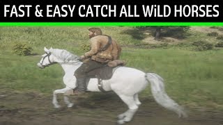 Red Dead Redemption 2 Fast amp Easy Way How To Catch All Rare Horses Guide White Arabian Horse [upl. by Verras33]