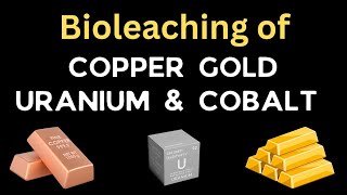 Bioleaching of Copper Gold Uranium and Cobalt  Biomining of heavy metals  Microbial bioleaching [upl. by Ardnnek]