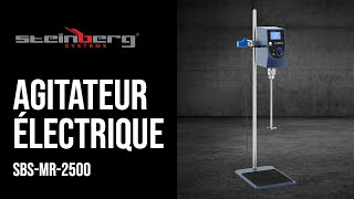 Agitateur électrique Steinberg Systems SBSMR2500  Présentation de produit 10030451 [upl. by Faline]