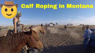 Calf Roping at the Moullet Ranch in Huntley Montana RV Travel EP6 [upl. by Ortiz846]