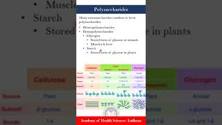 Polysaccharides Biochemistry  By Imran Yaseen [upl. by Louanne407]