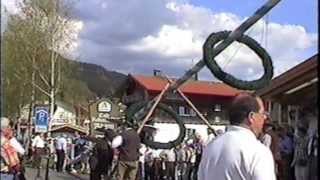 Maibaum aufstellen Bodenmais 1998 [upl. by Aihsikal]