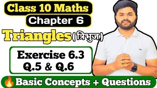 Class 10 Maths  Triangles  त्रिभुज   Exercise 63 Q5 amp Q 6  Chapter 6  Board Exam 2025 [upl. by Aihsad]