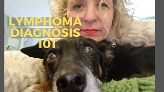 What We Did When Our Dog Got Lymphoma Diagnosis Reaction  Canine Lymphoma Vlog Part 1 [upl. by Clint]