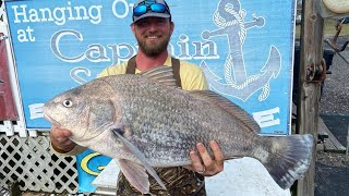 Surf Fishing For Black Drum Chincoteague Island [upl. by Mccollum]