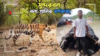 বাঘের রাজ্যে একদিন সুন্দরবন ভ্রমণ  Exploring Sundarban The Land of the Royal Bengal Tiger [upl. by Newby]