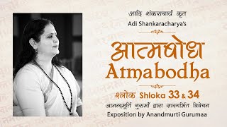 Adi Shankaracharyas Atmabodha  Shloka 33 amp 34  Anandmurti Gurumaa Hindi [upl. by Allehc]