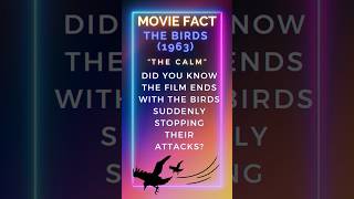 quotThe Birds 1963 Ending Explained What Stopped the Attacksquot shorts thebirds didyouknowmovie [upl. by Winchester748]