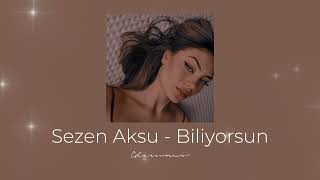 Sezen Aksu  Biliyorsun 𝑆𝑝𝑒𝑒𝑑 𝑢𝑝 [upl. by Nipahc]