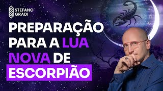 8 CHAKRAS  Preparação para a Lua Nova em Escorpião  3110 [upl. by Greenleaf257]