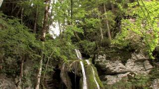 Schluchtensteig im Südschwarzwald [upl. by Zinah]