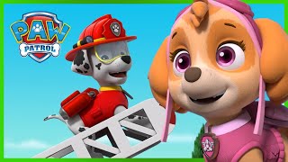 Pups stop Mayor Humdingers giant Hat and save election day  PAW Patrol Episode Cartoons for Kids [upl. by Aivul481]