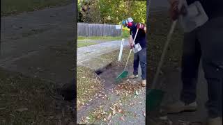 Gardeners trim lawns clean up street branches GardeningTips WeedingArtifact SanitationWorker [upl. by Xxam]