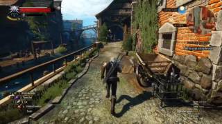 Witcher 3  How not to pay for the ticket when seeing Irina Renarde [upl. by Oiludbo]