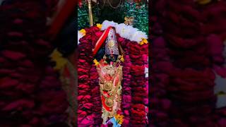 maha kali neeleshwari maasingergopal mishra [upl. by Lavina]