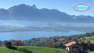 Sigriswil near Lake Thun in Switzerland  A Heavenly Morning 👌 [upl. by Shaper985]