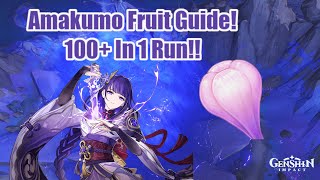 Amakumo Fruit Guide 100 in 1 Run Raiden Shogun Ascension Materials [upl. by Egoreg107]