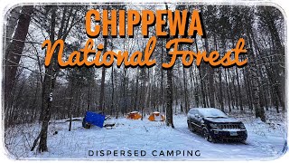 Chippewa National Forest Dispersed Camping In A Blizzard [upl. by Esiom]