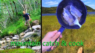 Camp Forage Catch amp Cook  High Mountains  Norway [upl. by Sairu]