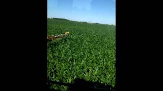 854 Rogator dribbling 32 Nitrogen on corn [upl. by Bernard148]