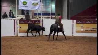 2013 AQHA Versatility Ranch Horse Open World Champion [upl. by Vetter]