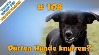 Dürfen Hunde knurren  wann ist knurren Ernst  TGH 108 [upl. by Kcirdla]