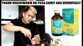 PAANO MAG DEWORM NG PUSA GAMIT ANG VERMIFUGE [upl. by Gnes951]