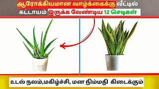 இந்த 12 செடிகள் வீட்டில் வளர்த்தால் ஏற்படும் மாற்றங்கள்  Healthy Plants for Life [upl. by Nyladgam]