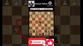 Learn How To Checkmate With 2 Bishop chess checkmate viral [upl. by Wight]