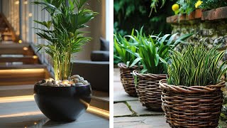 home decor ideas with plants [upl. by Soloma13]